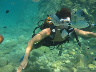 Antalya/Kemer: Scuba Diving Experience with Lunch & Pick up