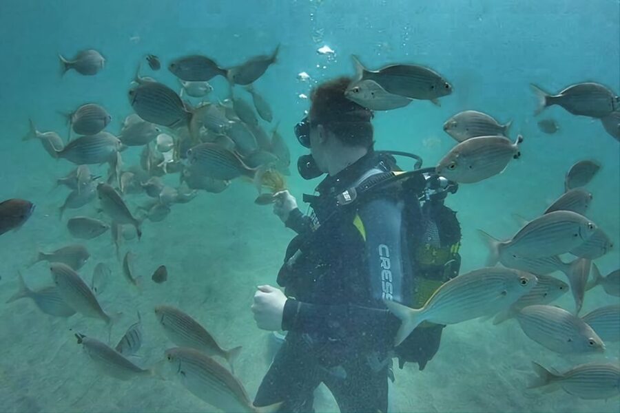 Antalya/Kemer: Scuba Diving Experience with Lunch & Pick up - The boat day matters as much as the underwater time