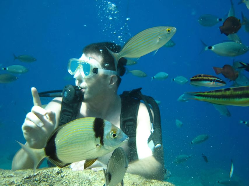 Antalya/Kemer: Scuba Diving Experience with Lunch & Pick up - Pickup is convenient, with one small warning