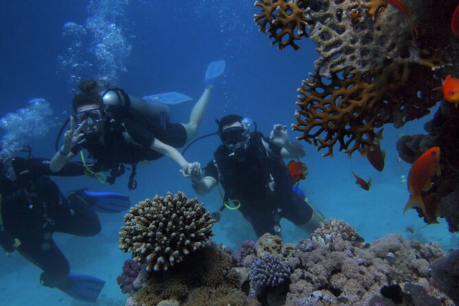 Antalya/Kemer Scuba Diving with Pickup, Lunch, and 2 Dives - Key points to know before booking
