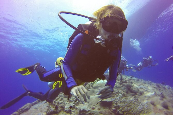 Antalya/Kemer Scuba Diving with Pickup, Lunch, and 2 Dives - Who should book this Kemer scuba outing?