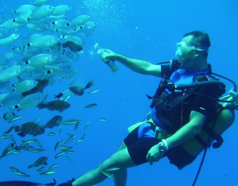 Antalya/Kemer: Scuba Diving with Pickup, Lunch, and 2 Dives - Is $24 good value?