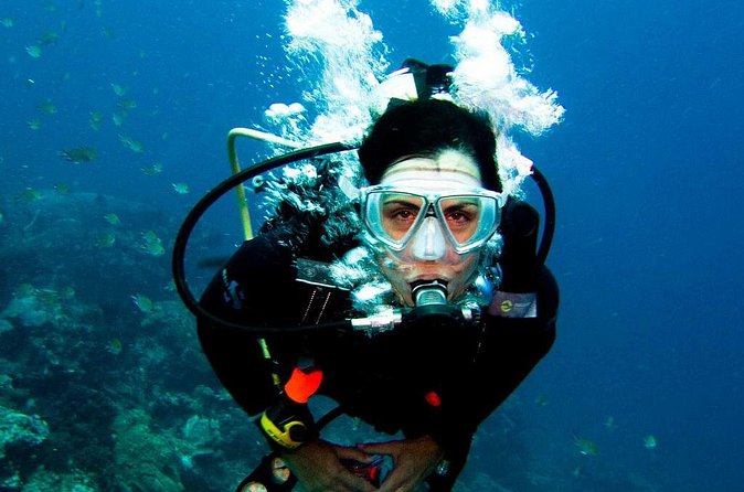 Antalya Scuba Diving at Mediterranean Sea incl. Lunch - Who should book this, and who should skip it?