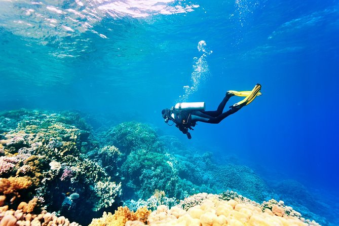 Antalya Scuba Diving at Mediterranean Sea incl. Lunch - Tekirova and the first underwater session