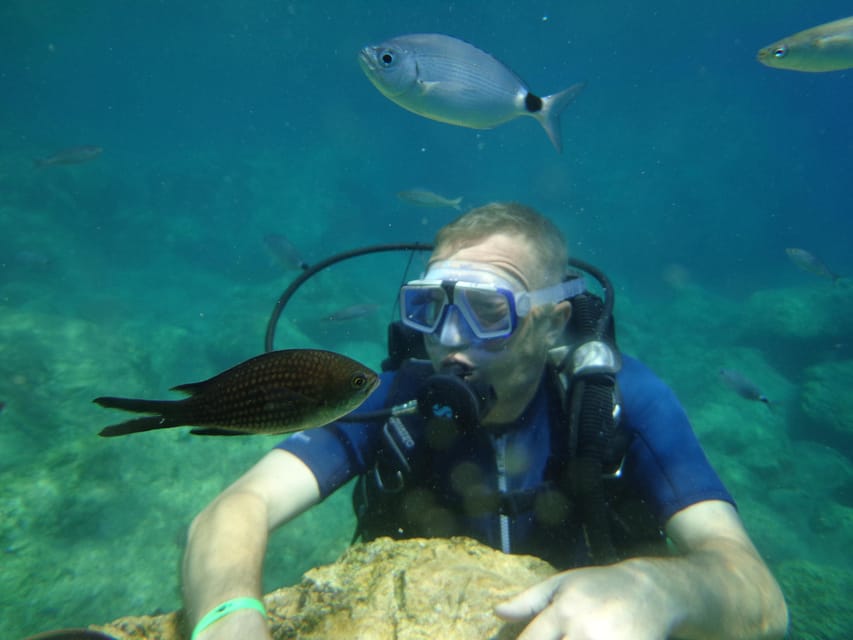 Antalya Scuba Diving Tour, With Lunch & Return Transfers - The certificate ceremony and return to Antalya