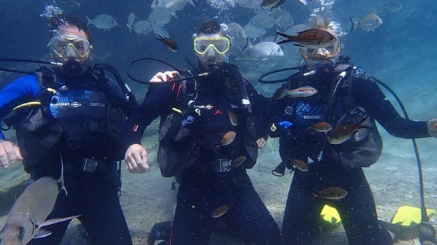 Antalya Scuba Diving Tour, With Lunch & Return Transfers - Lunch, swimming, and a second session at Martı Island
