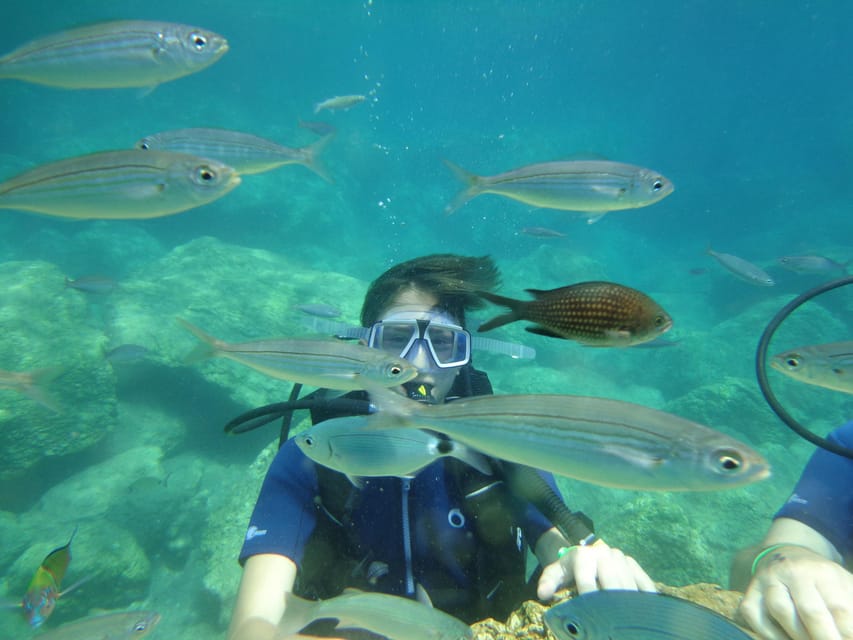 Antalya Scuba Diving Tour, With Lunch & Return Transfers - The boat day for non-divers