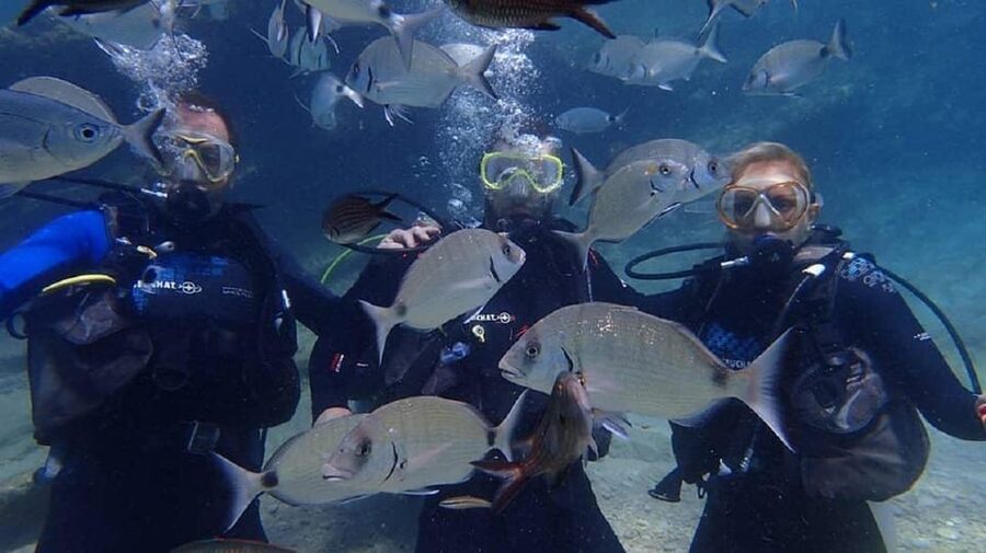 Antalya Scuba Diving Tour, With Lunch & Return Transfers - What to bring for a comfortable day