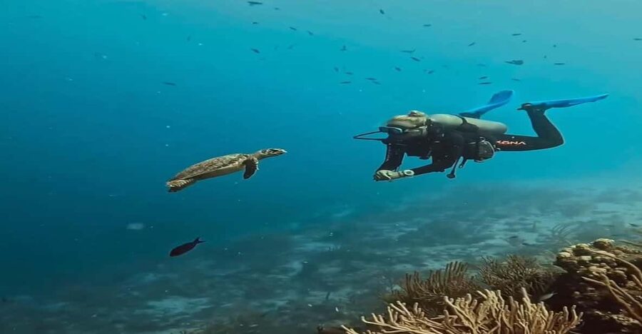 Antalya, Side and Alanya: Scuba Diving with Lunch & 2 Dives - Arriving at Liman and getting ready