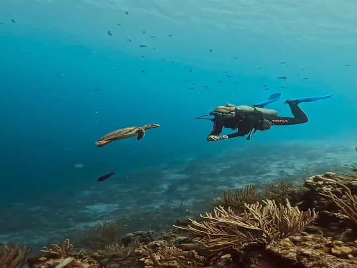 Antalya, Side and Alanya: Scuba Diving with Lunch & 2 Dives - Pickup from Side, Alanya, and the surrounding resorts