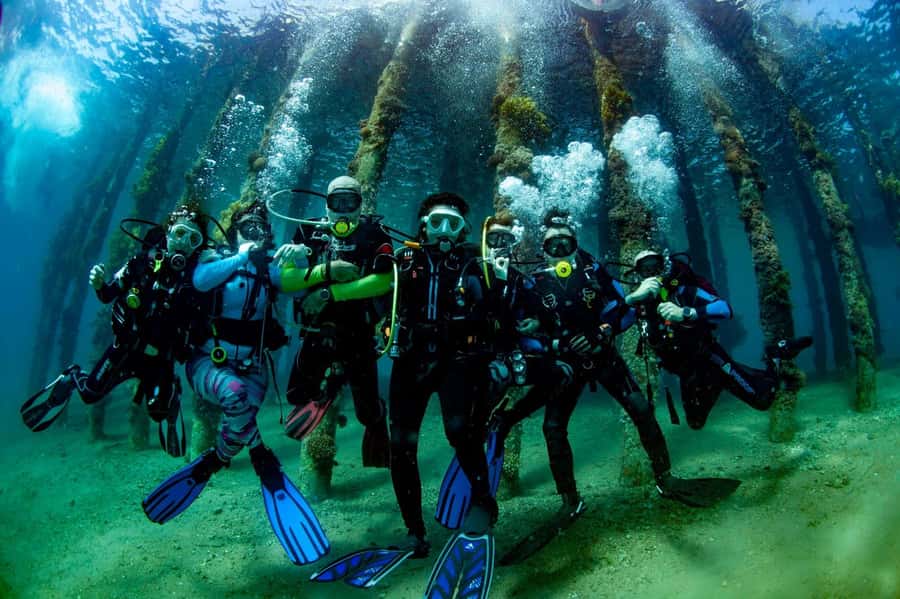 Aqaba: 2 Guided Dives Boat Trip with Gear and Buffet Lunch - Aqaba’s coral gardens and wreck-filled Gulf