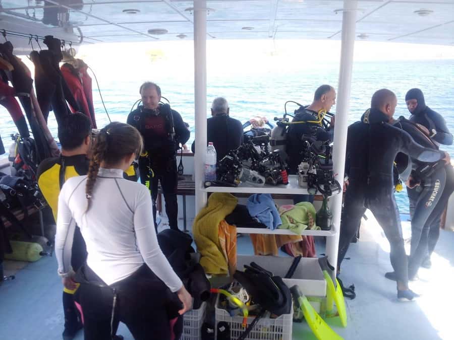 Aqaba: 2 Guided Dives Boat Trip with Gear and Buffet Lunch - The first one-hour underwater session