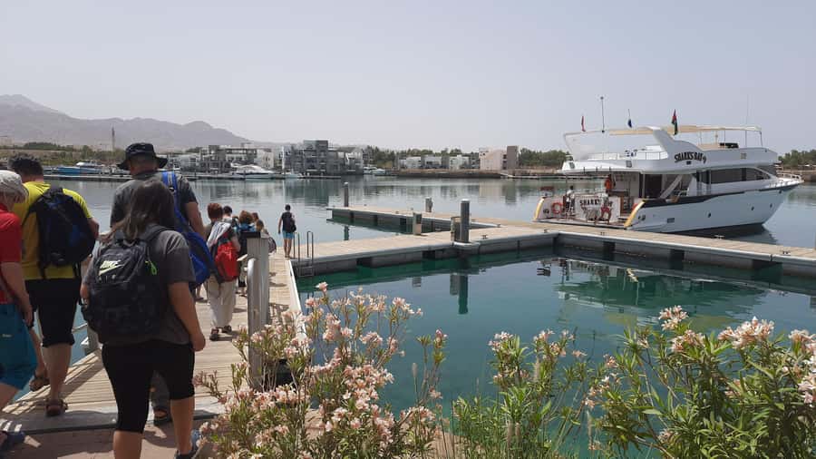 Aqaba: 2 Guided Dives Boat Trip with Gear and Buffet Lunch - Who should book this boat trip?