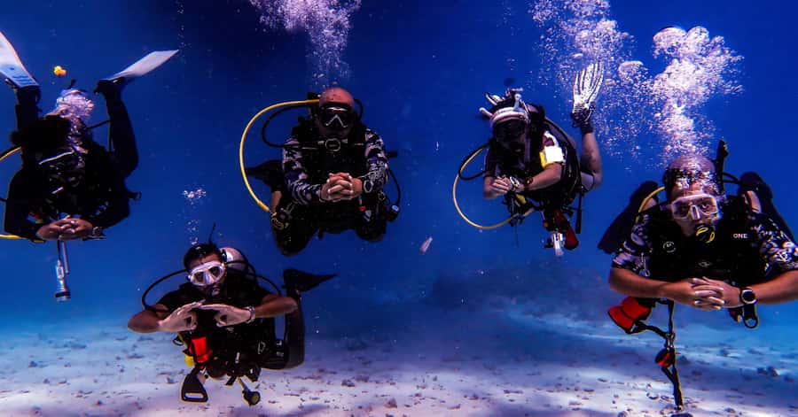 Aqaba Dive Adventure: Explore The Red Sea On A Tour - Key points to know before you book