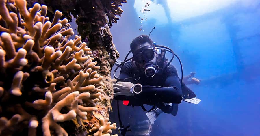 Aqaba Dive Adventure: Explore The Red Sea On A Tour - What makes this Aqaba underwater trip special
