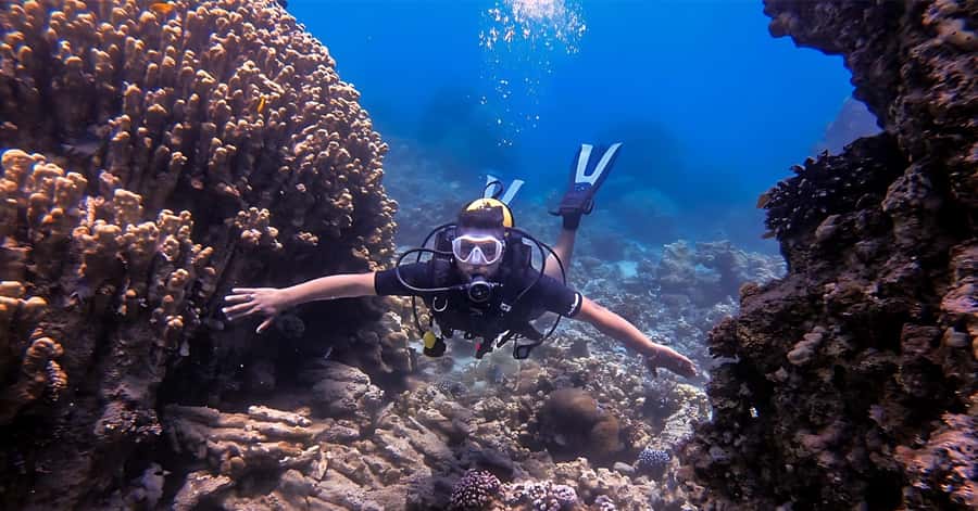 Aqaba Dive Adventure: Explore The Red Sea On A Tour - The 20-minute safety briefing at South Beach
