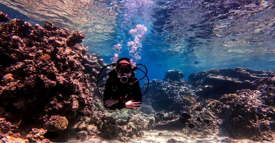 Aqaba Dive Adventure: Explore The Red Sea On A Tour - Is $51 good value?