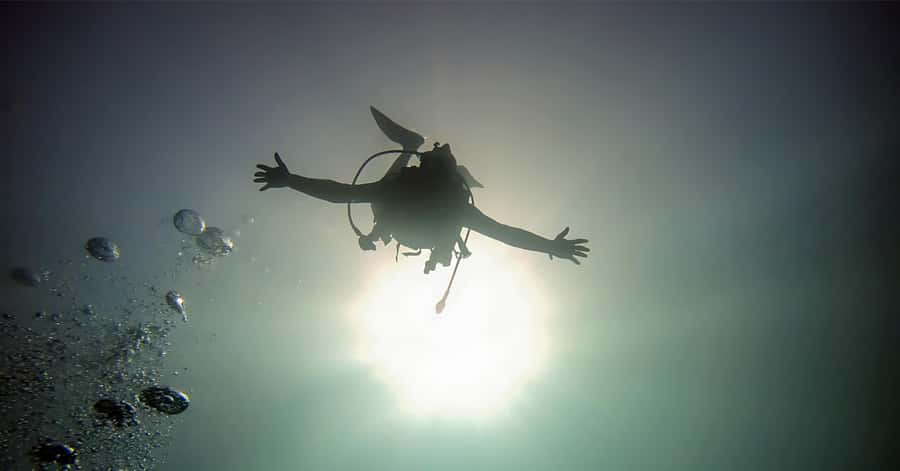 Aqaba Dive Adventure: Explore The Red Sea On A Tour - Meeting at Baghdad Street 24