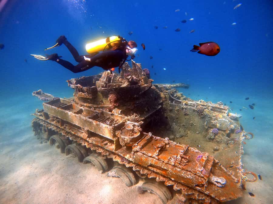 Aqaba: Private Red Sea Diving for Beginner or Experienced - Key points to know before booking