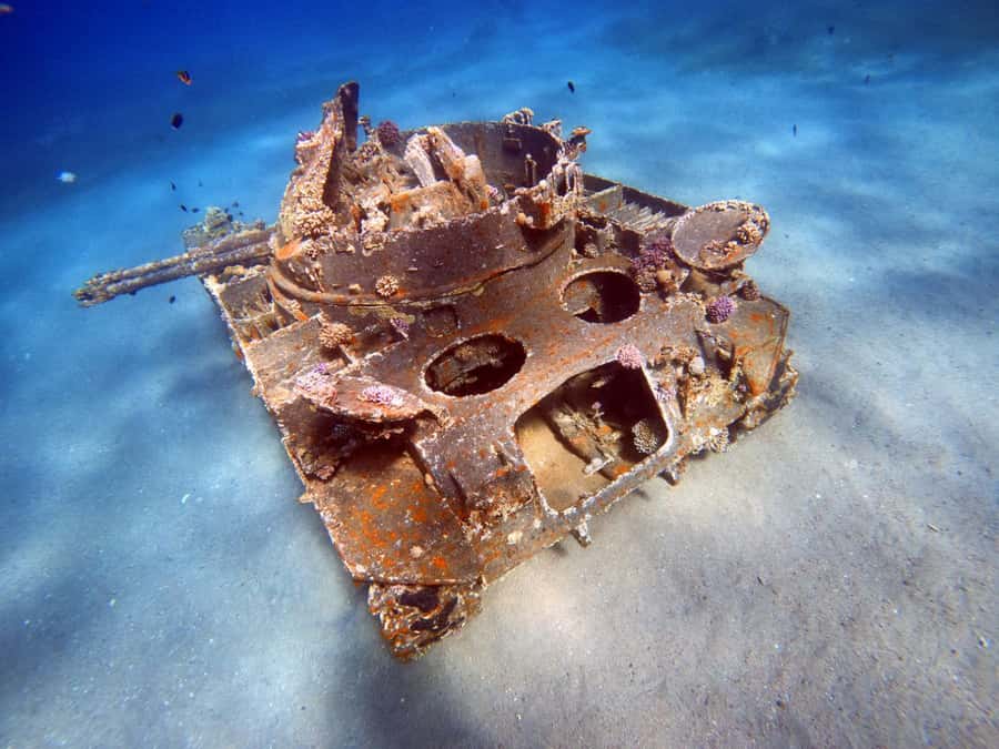 Aqaba: Private Red Sea Diving for Beginner or Experienced - Gear, briefing, and the first few minutes underwater