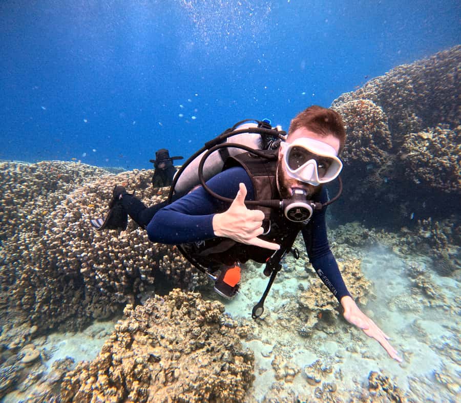 Aqaba: Private Red Sea Diving for Beginner or Experienced - Photos and videos that make the price more useful
