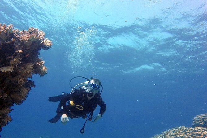Aqaba Private Scuba Diving Activity with Pick Up - Cedar Pride: Aqaba’s signature wreck