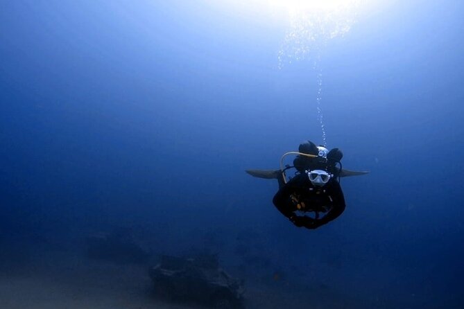 Aqaba Private Scuba Diving Activity with Pick Up - Coral sites such as Japanese Gardens and Seven Sisters
