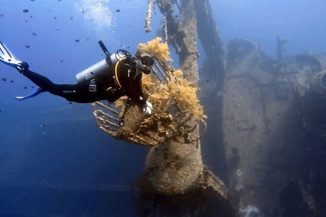 Aqaba Private Scuba Diving Activity with Pick Up - Is $56.58 a fair price?
