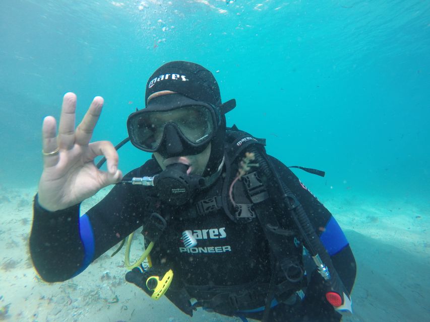 Arrábida - Sesimbra: Eco-Friendly Beginner's Scuba Diving - Why Arrabida is a good place for your first scuba session