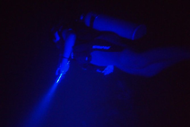 Aruba 1-Tank guided UV Night Dive for certified divers with rental equipment - What the current can change