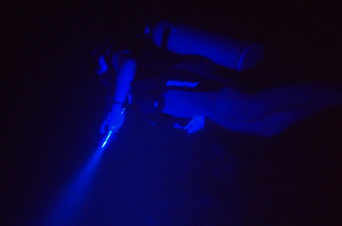 Aruba 1-Tank guided UV Night Dive for certified divers with rental equipment - Is $123 a fair price?