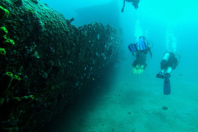 Aruba 2-Tank Dive Excursion for Certified Divers - What this Aruba morning on the water is really like