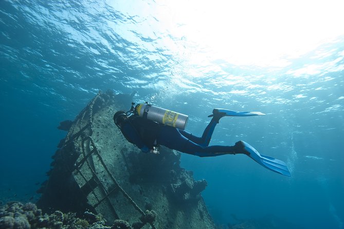 Aruba 2-Tank Dive Excursion for Certified Divers - The first underwater session and surface interval