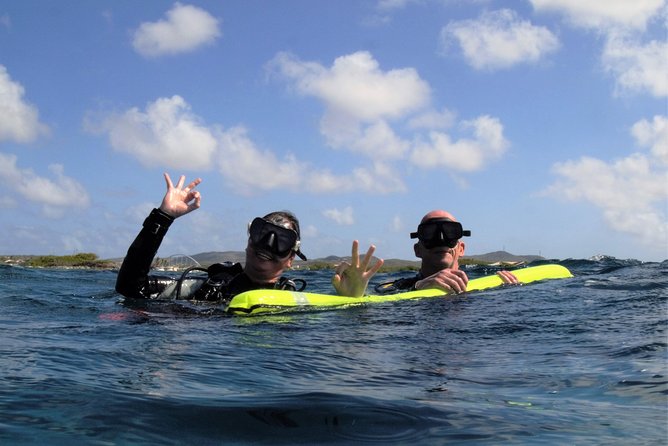 Aruba 2-Tank Guided Dive for Certified Divers / rental equipment - Key points to know before booking