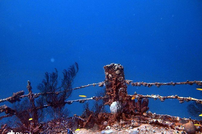 Aruba 2-Tank Guided Dive for Certified Divers / rental equipment - Starting at Pure Diving Aruba at 8:30 am
