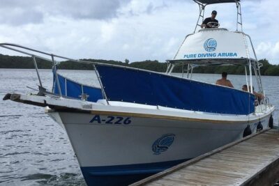 Aruba 2-Tank Guided Dive for Certified Divers / rental equipment