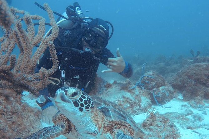 Aruba Certified Scuba Diving - Check-in is simple, but bring the right proof