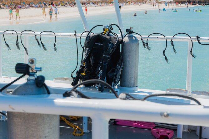 Aruba Certified Scuba Diving - Is $80 good value for Aruba?