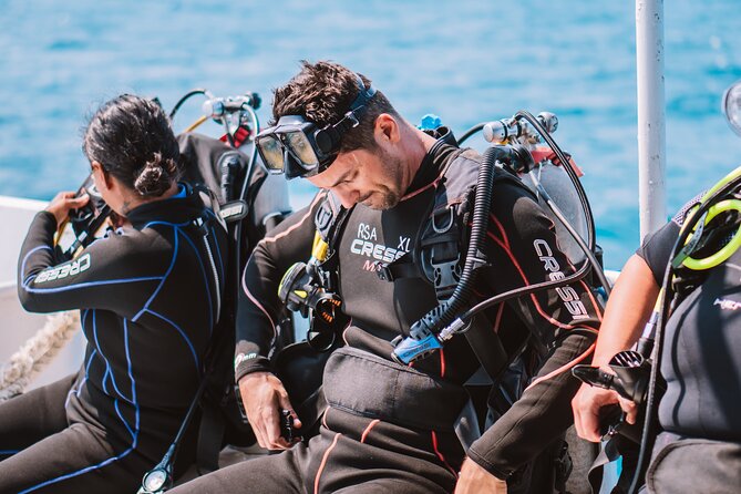 Aruba Guided Night Dive Adventure: Shallow Reefs or Shipwrecks - Key points to know before you book