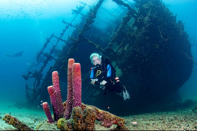 Aruba Guided Night Dive Adventure: Shallow Reefs or Shipwrecks - Meeting at Piet’s Pier Bar in Noord