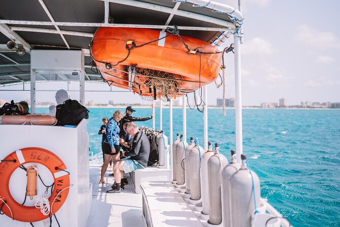 Aruba Guided Night Dive Adventure: Shallow Reefs or Shipwrecks - What you see when the lights go on