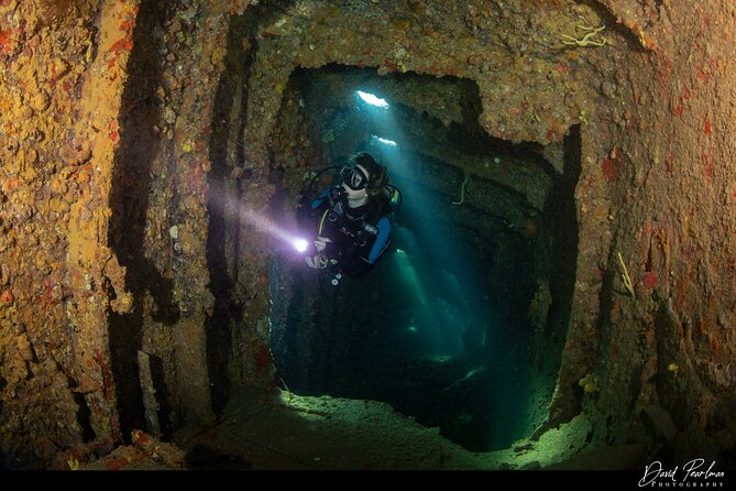 Aruba Guided Night Dive Adventure: Shallow Reefs or Shipwrecks - Gear, safety, and the buddy system