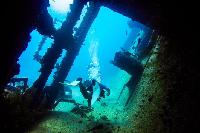 Aruba Guided Night Dive Adventure: Shallow Reefs or Shipwrecks - Timing, weather, and cancellation details