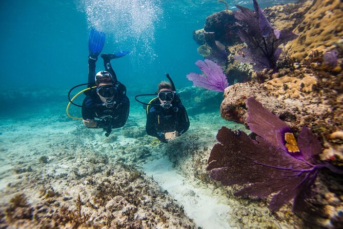 Aruba One or Two Tank Scuba Dive - What the four-hour schedule feels like