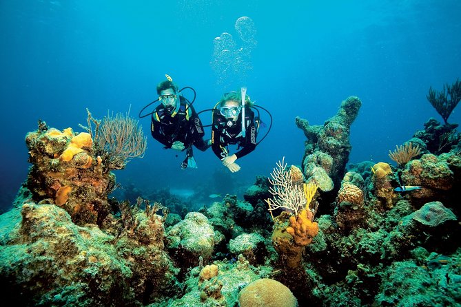 Aruba One or Two Tank Scuba Dive - Equipment, transportation, and what the price really covers
