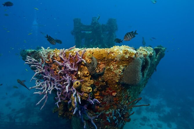 Aruba One or Two Tank Scuba Dive - Who will get the most from this trip