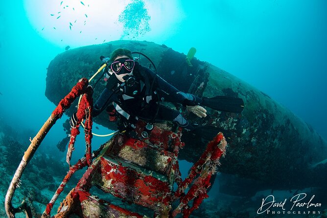 Aruba One or Two Tank Scuba Dive - Practical booking advice before you go