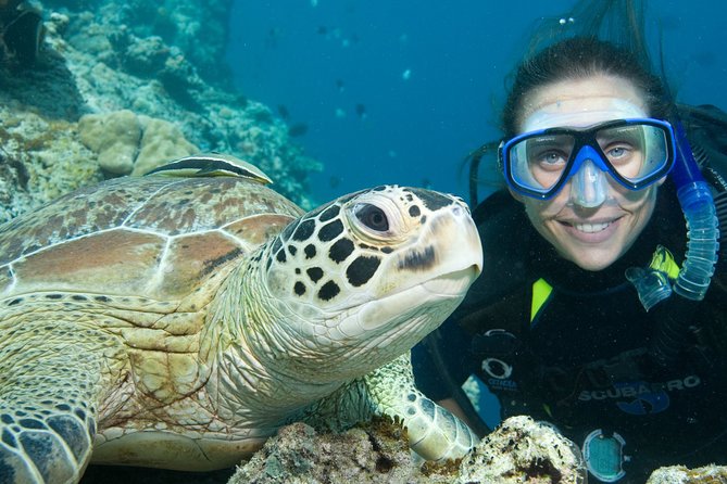 Aruba One or Two Tank Scuba Dive - Should you book the Aruba scuba trip?