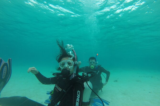 Aruba PADI Scuba Diving Program Non Certified Divers - Instructors who shape the experience