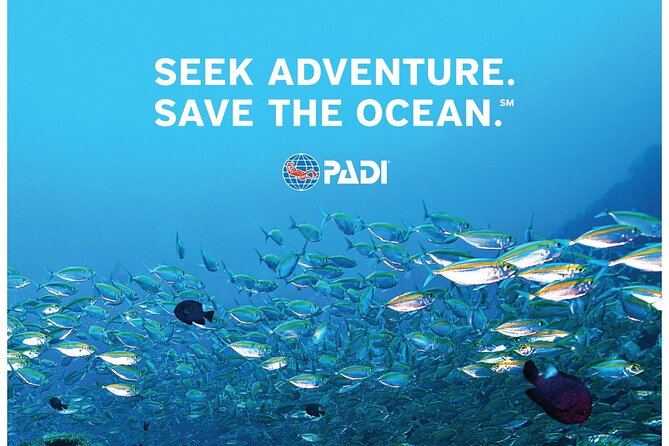 Aruba PADI Scuba Diving Program Non Certified Divers - Pickup, meeting point, and the practical side
